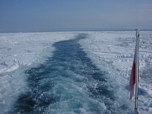 流氷を割って進む流氷観光砕氷船