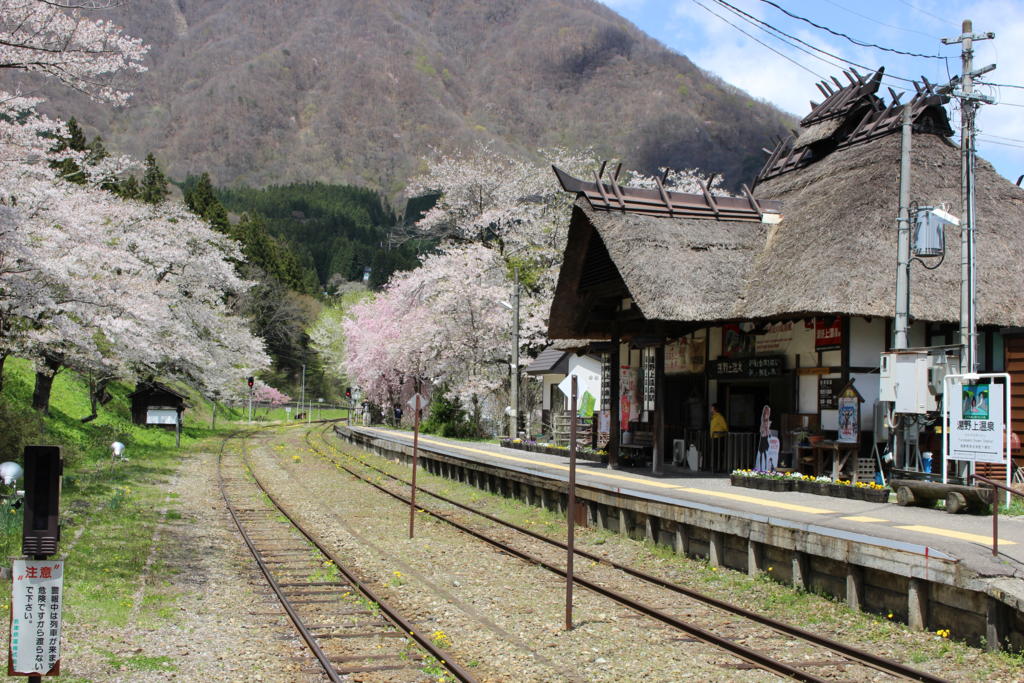 桜が満開の湯野上温泉駅