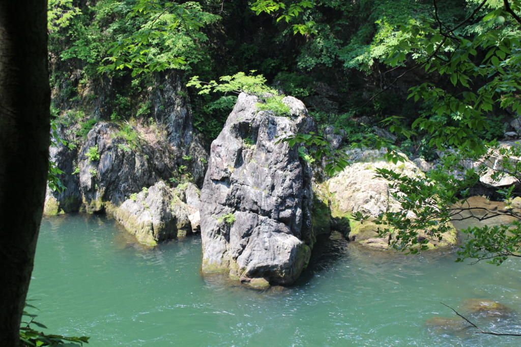 ゴリラ岩