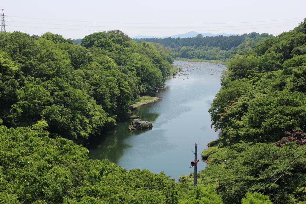 ながめ公園から眺めた渡良瀬川