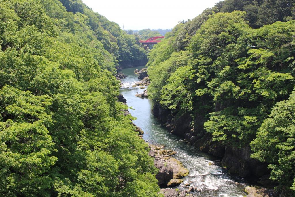 はねたき橋から眺めた高津戸峡
