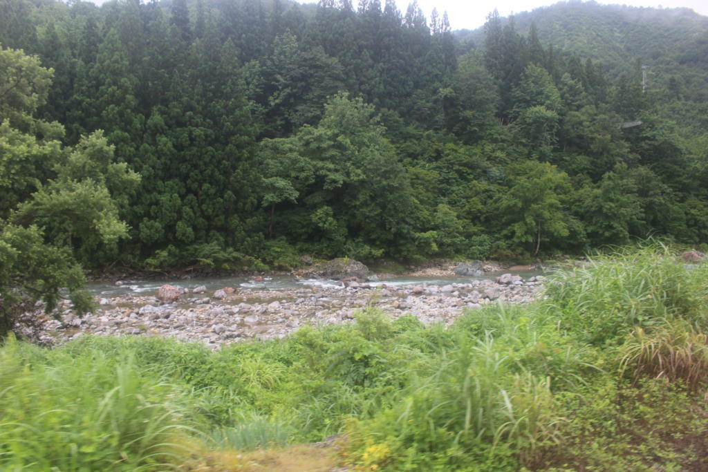 末沢川の渓谷の車窓