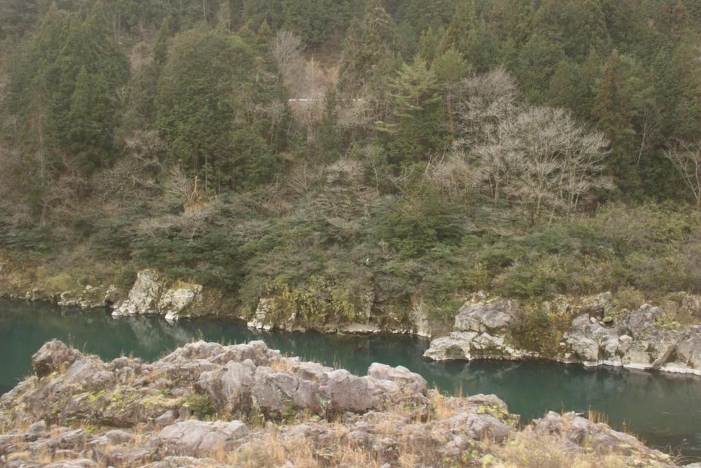 次第に渓谷の様相を呈してくる高山本線から眺める飛騨川