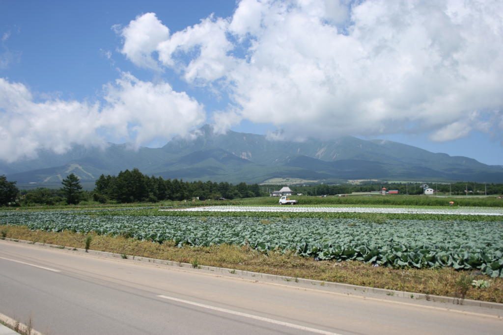 野辺山付近から八ヶ岳を望む（写真は車窓ではなく小海線の線路脇で撮影したもの）