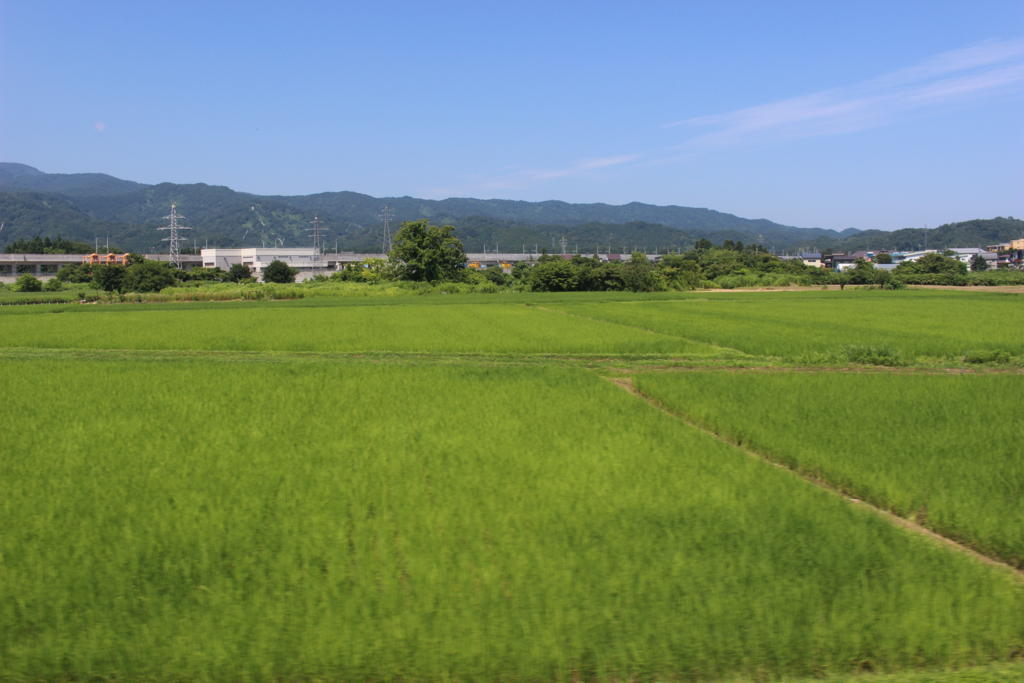 上越妙高を発車するとすぐに田園風景に 北陸新幹線の高架が遠ざかっていきます