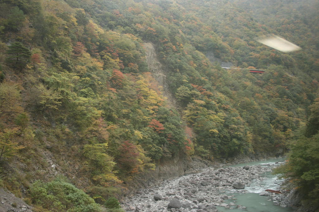 大井川と紅葉が美しい井川線の車窓