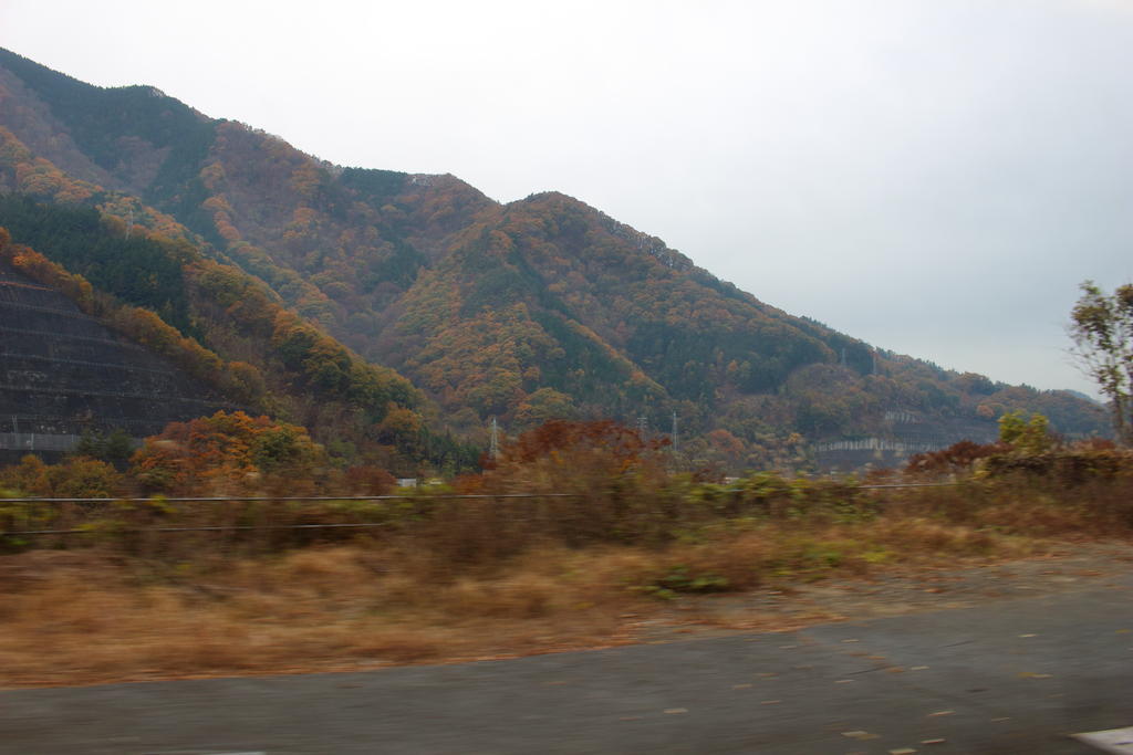 f:id:kzlife:20181204223657j:plain