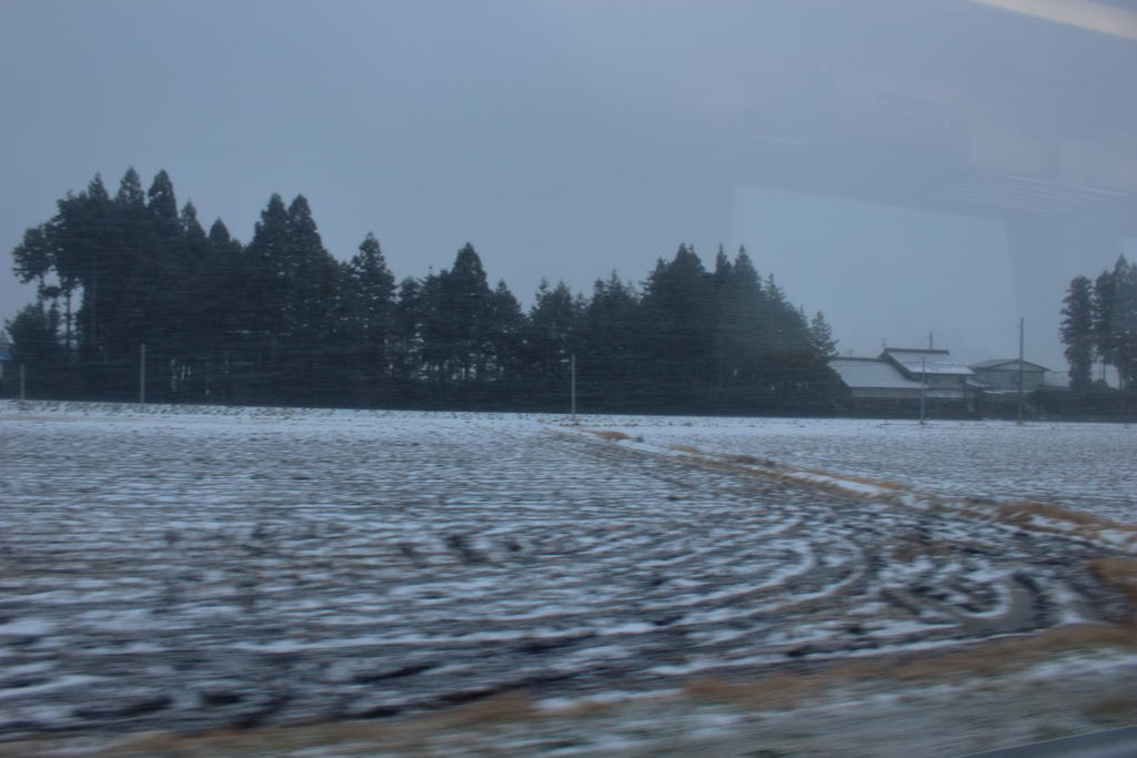 急に曇ってきて雪が激しく降ってきました