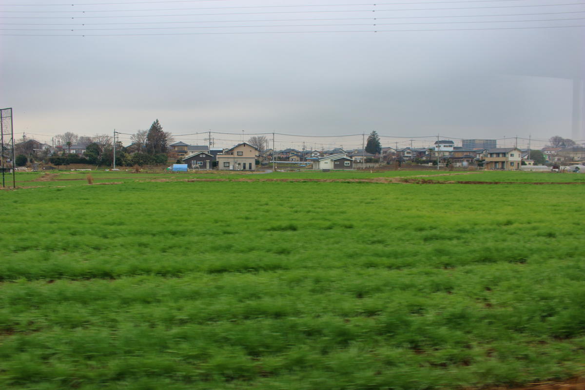 市街地を抜けると車窓には次第に田畑が目立ってきます