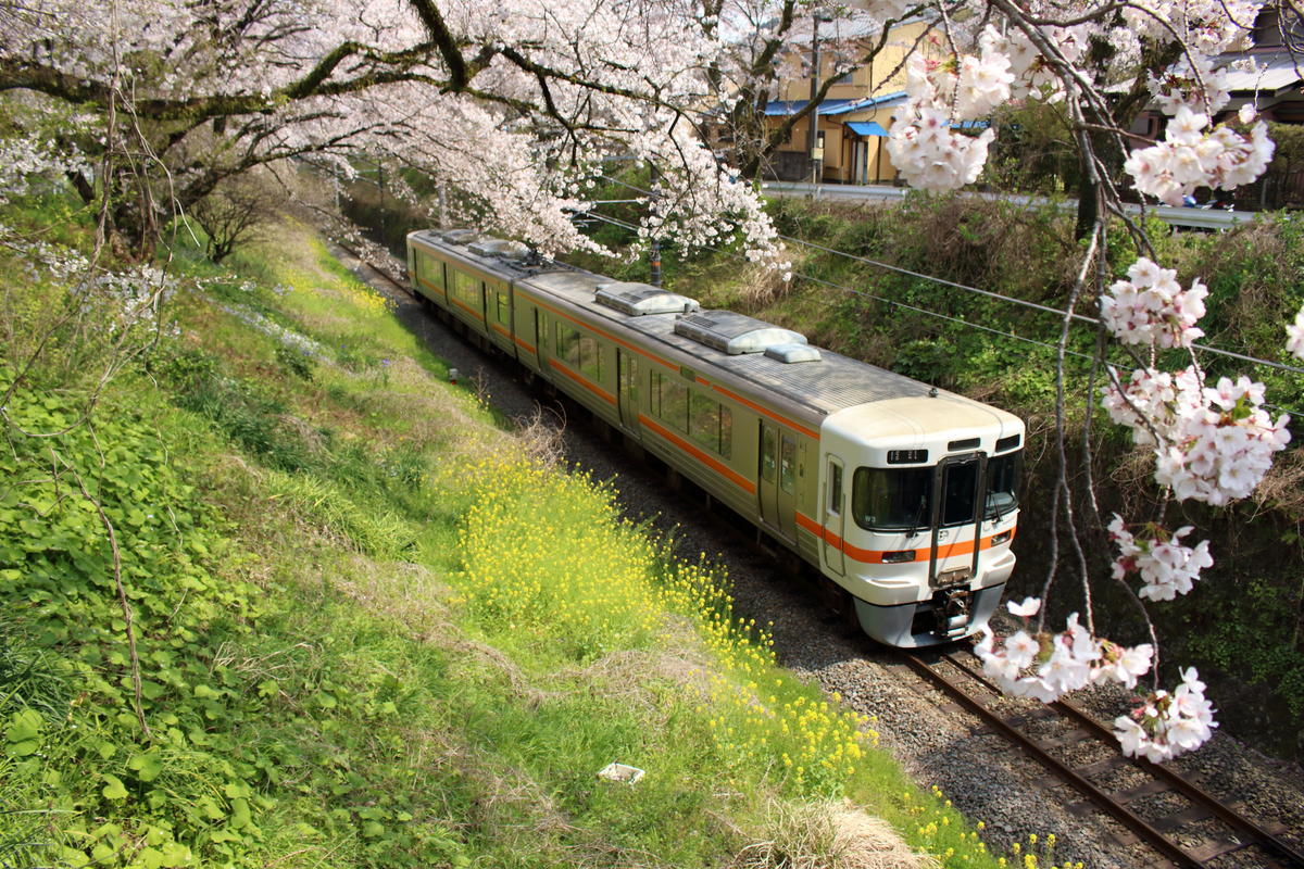 三つ目の橋から撮影した御殿場線の普通列車（313系電車）