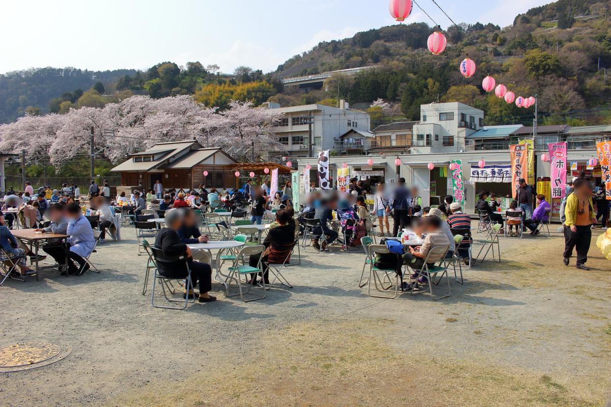 「やまきた桜まつり」開催中で賑わう山北鉄道公園