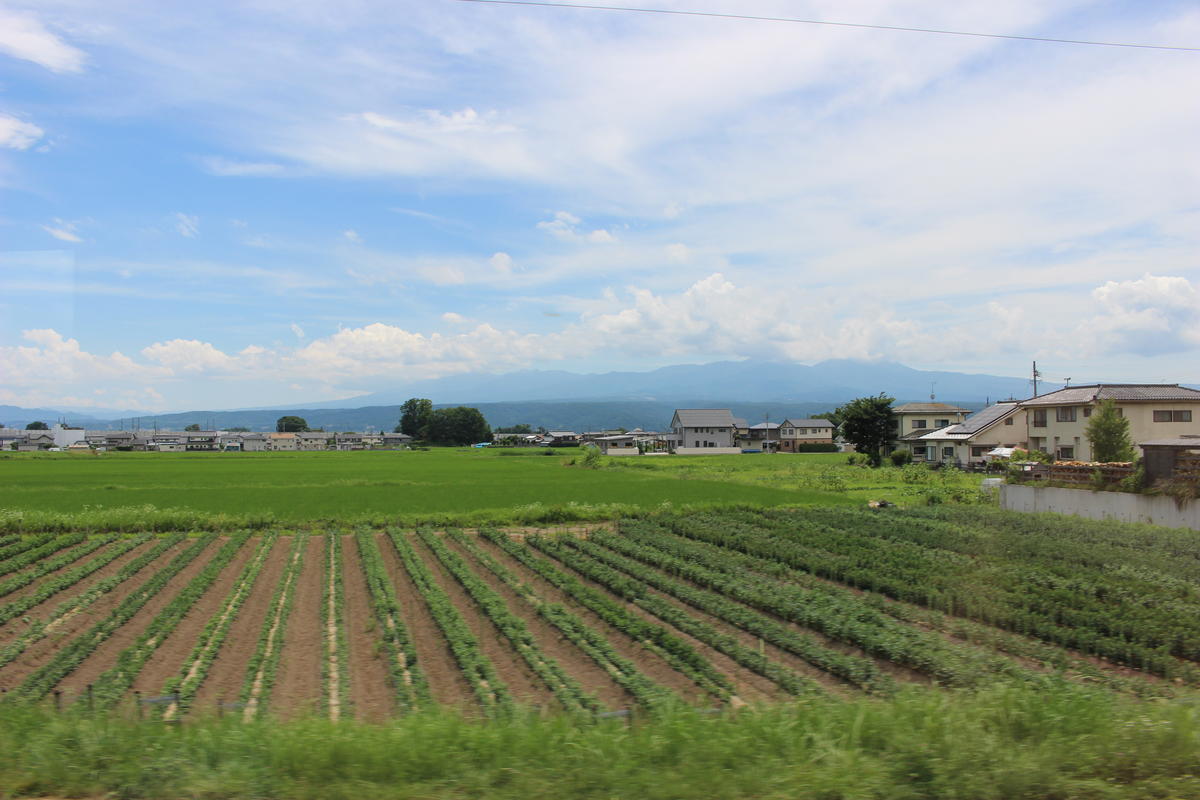 佐久盆地の開放的な景色が飛び込んできます