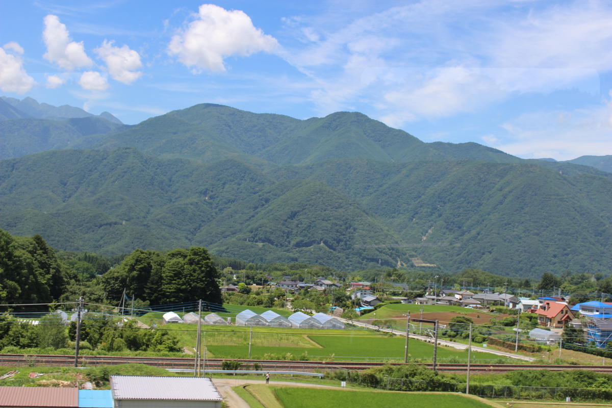 中央線の線路と分かれてどんどん急勾配を登っていきます