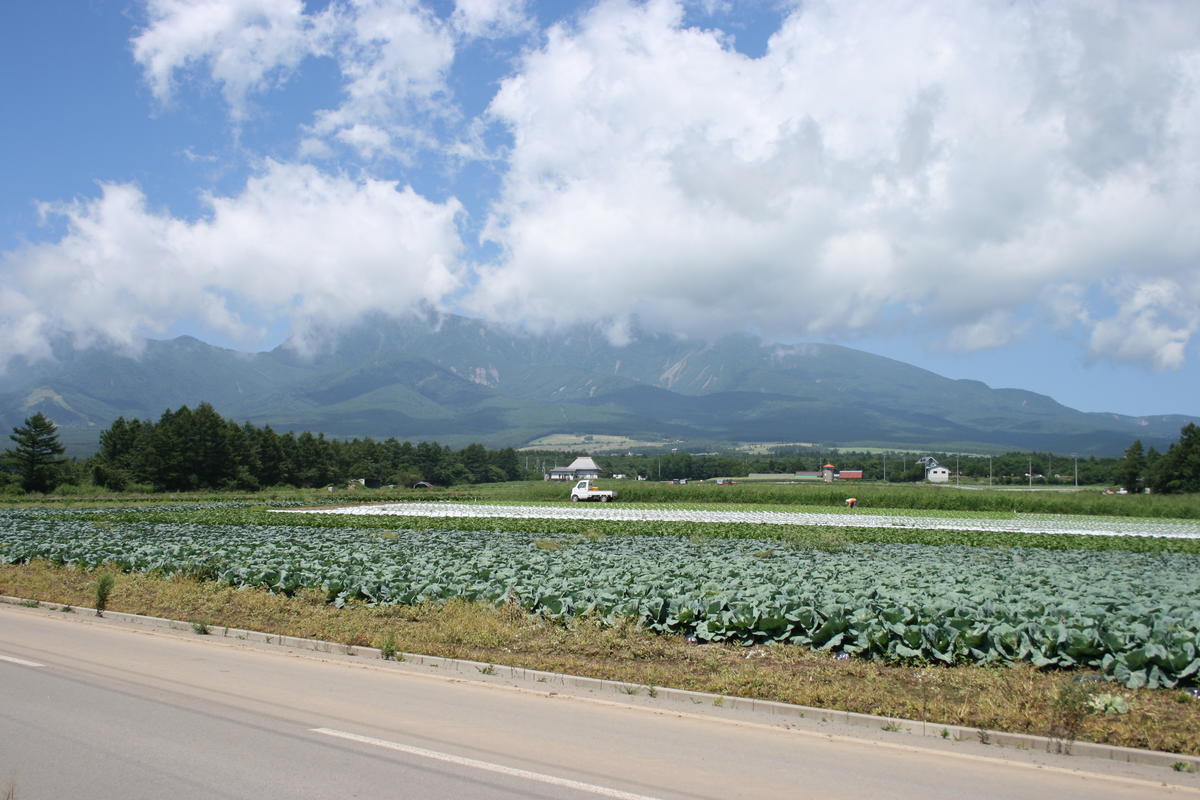 小海線の車窓から眺める夏の八ヶ岳