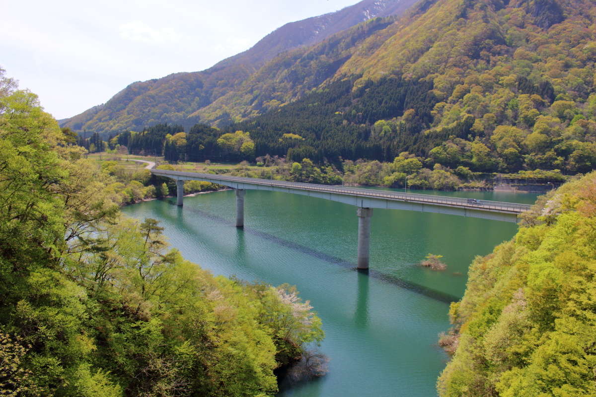 若郷湖の近くでも一時停止！