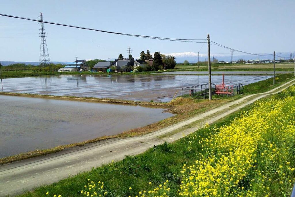 のどかな田園風景と飯豊山地が美しい会津鉄道の車窓