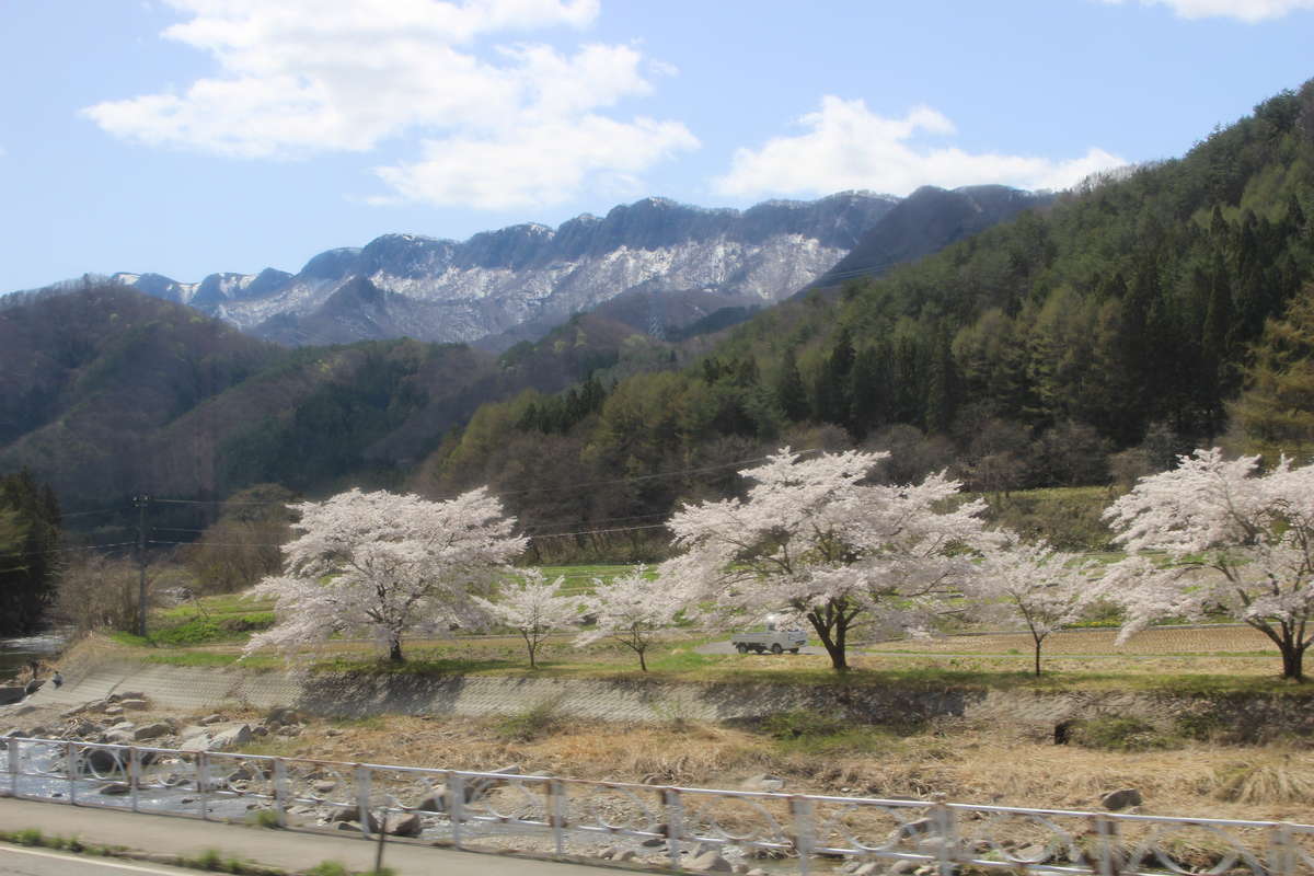 4月下旬には沿線の桜が満開！