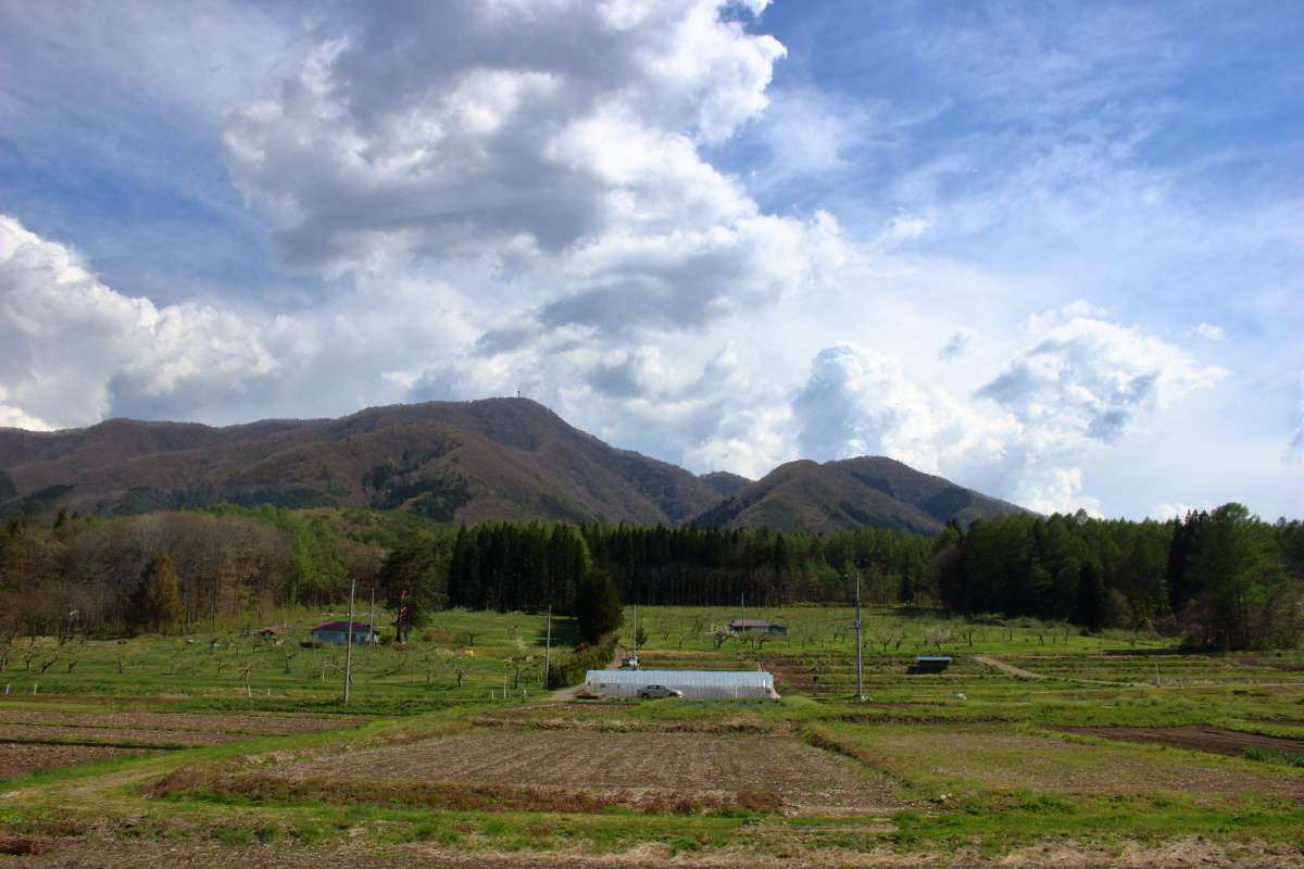 長閑な里山の風景の中を進みます