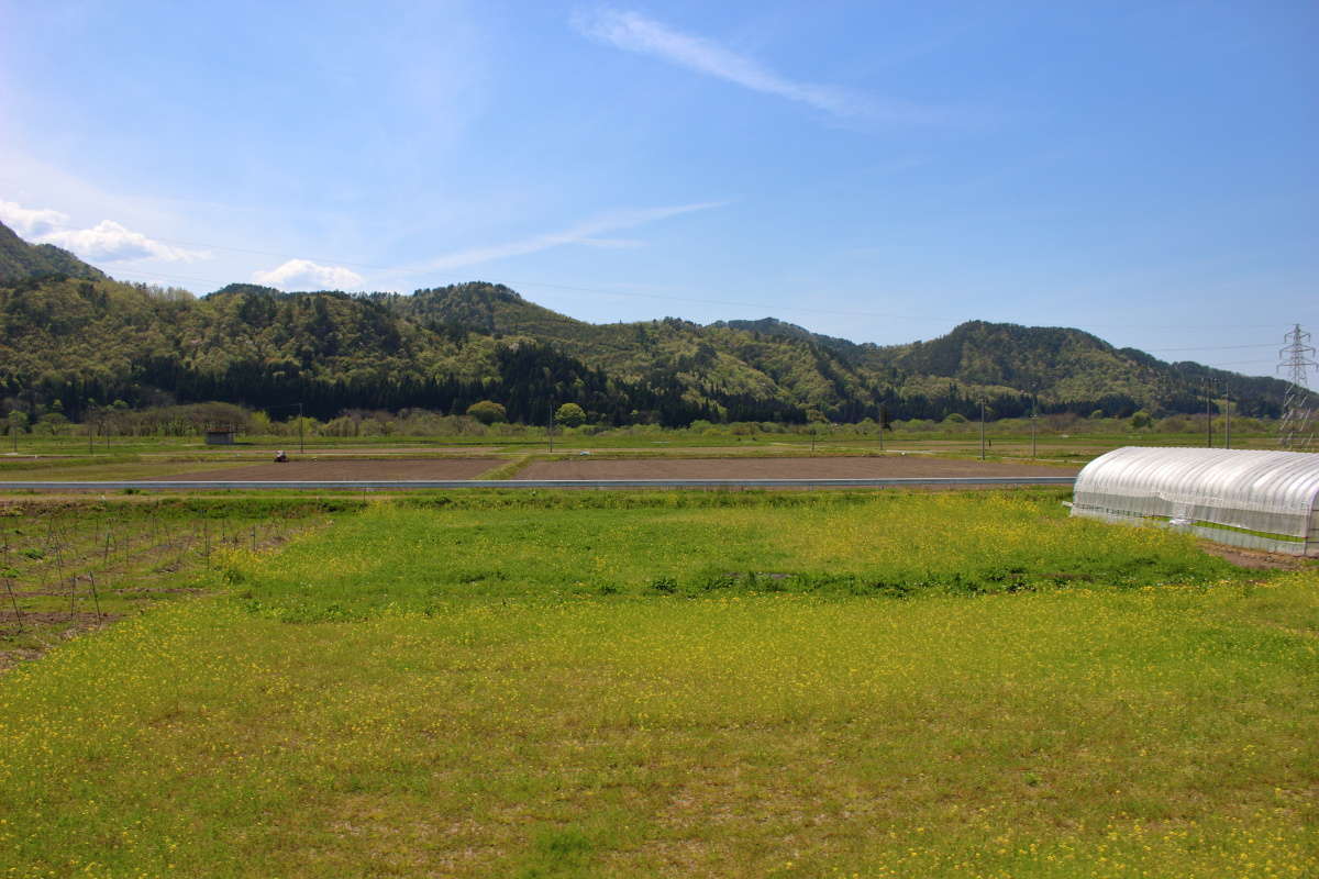 会津盆地に入ると長閑な風景が続きます