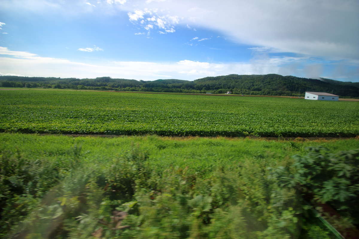 北海道らしい雄大な風景が続く石北本線の車窓