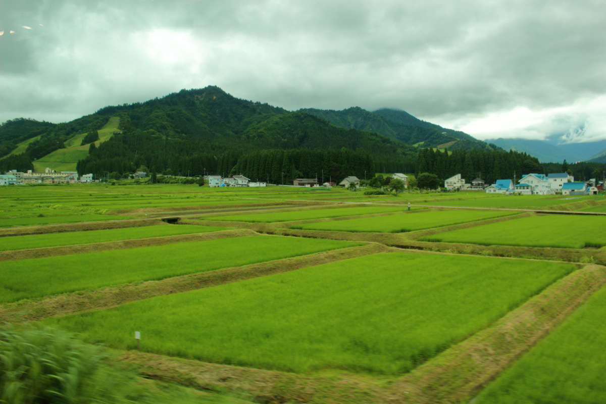 f:id:kzlife:20190730230550j:plain