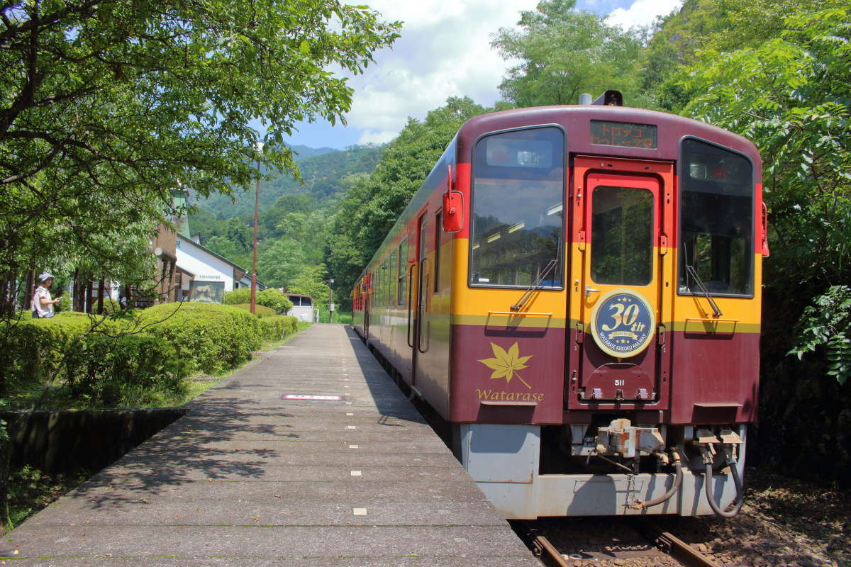 間藤駅に停車中の「トロッコわっしー号」