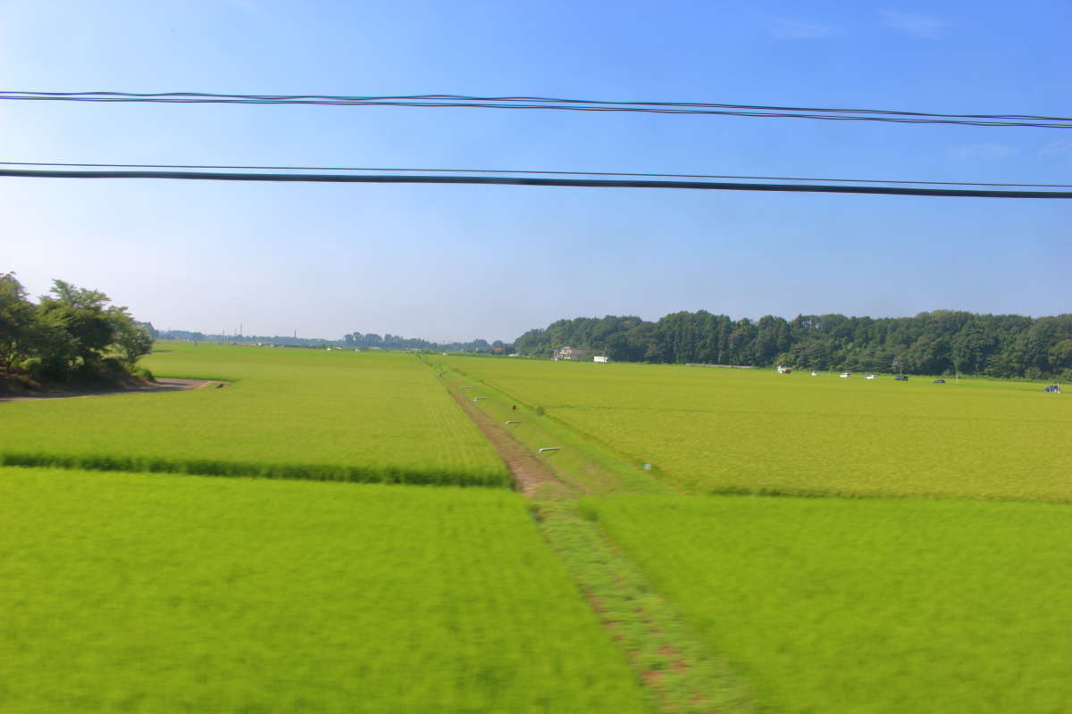 宇都宮から一駅で車窓は田園風景へ