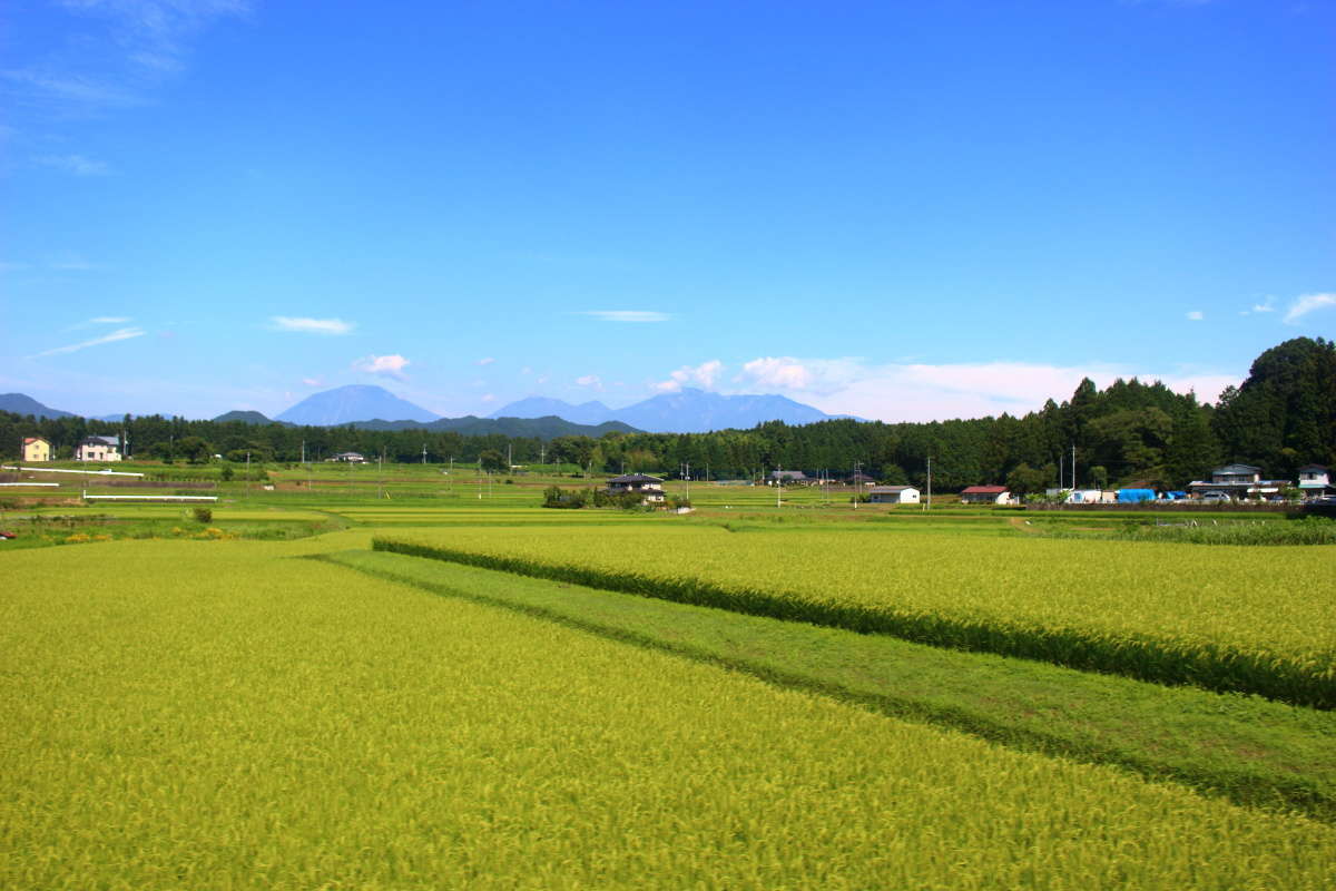 日光に近づくと車窓に山々が見えてきます