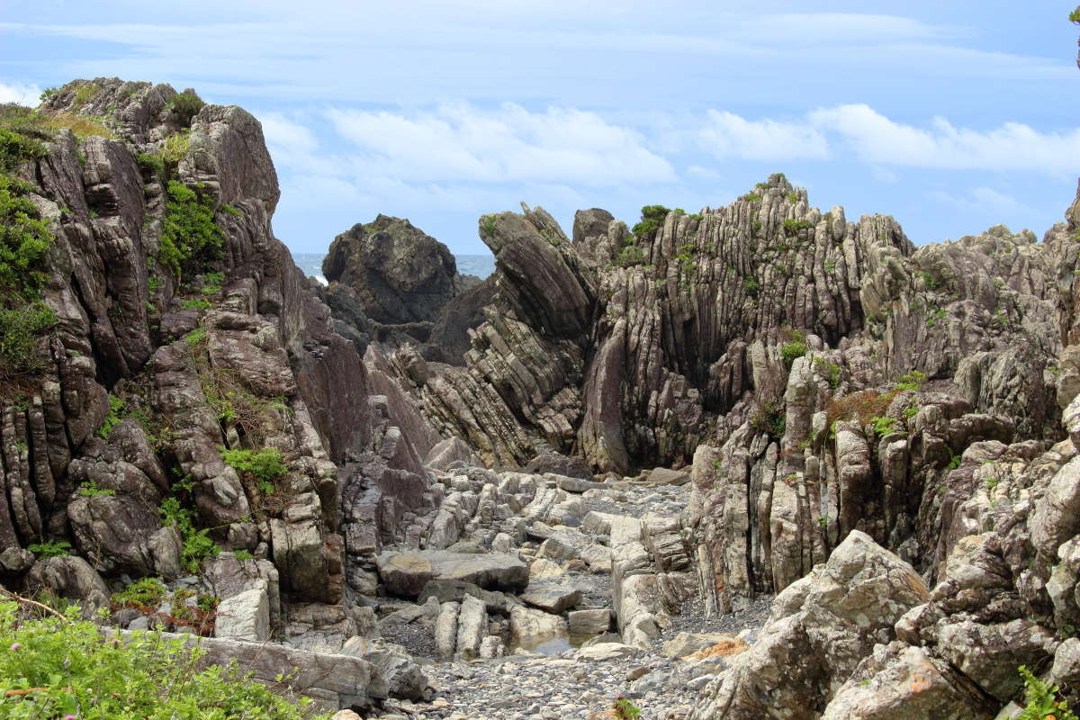 縞々の地層は室戸岬に特徴的な「タービダイト層」