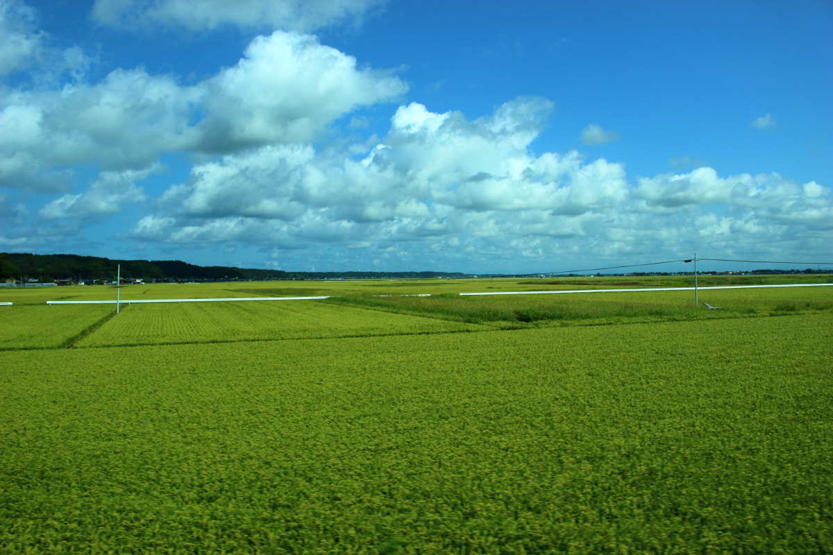 船越～脇本間は田園風景が広がります