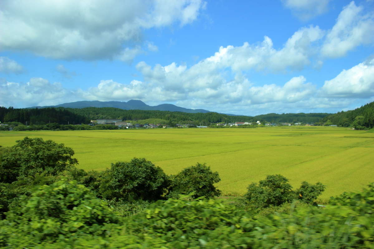 脇本～羽立間は男鹿線で唯一山の中を走る区間