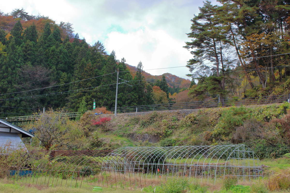 しばらくは吾妻線の旧線跡を眺めながらの散策