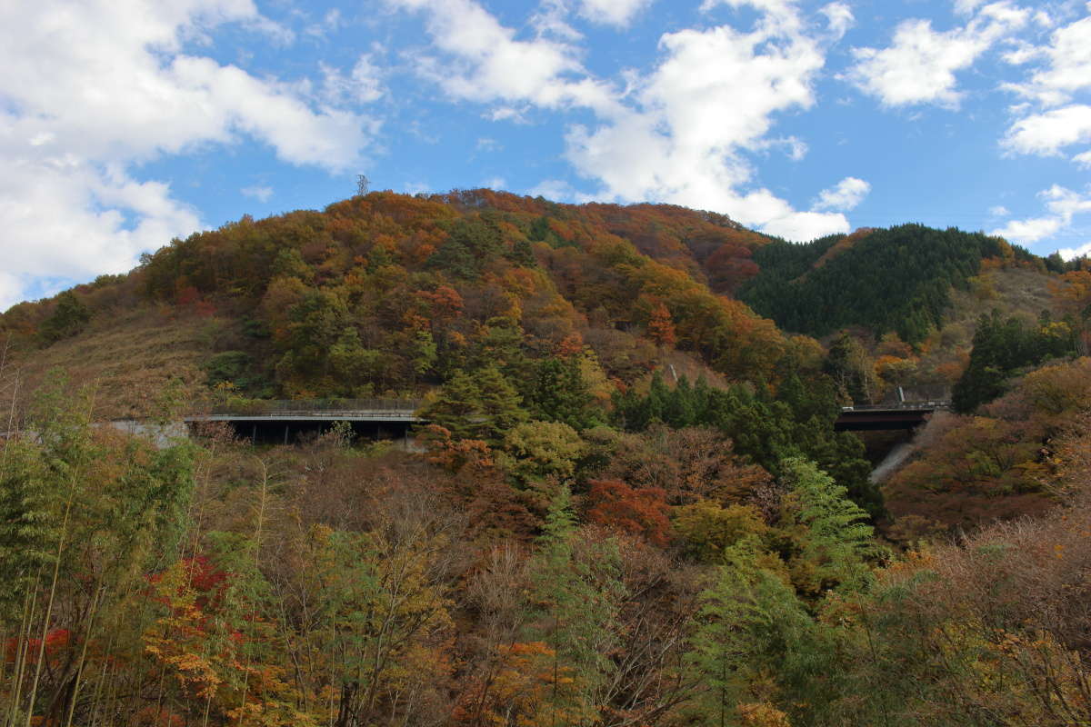 山の上のほうはまだ紅葉が見ごろのところも