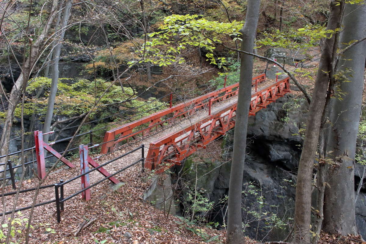 歩道から少し降りたところに小さな橋「鹿飛橋」があります