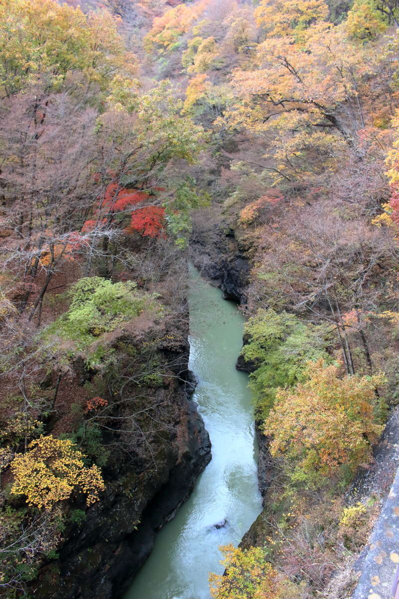 紅葉台からは深い渓谷を見おろすことができます