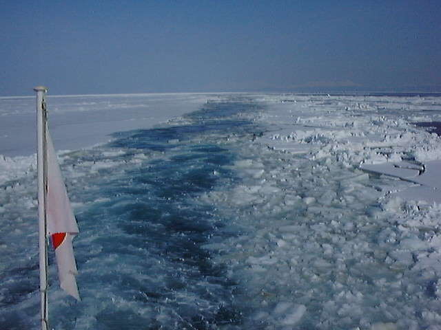 流氷砕氷船「オーロラ号」での流氷観光