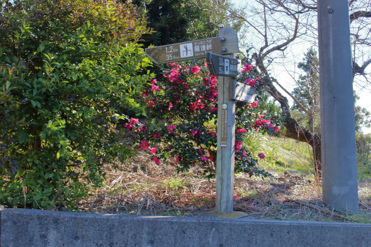 薩埵峠への交差点