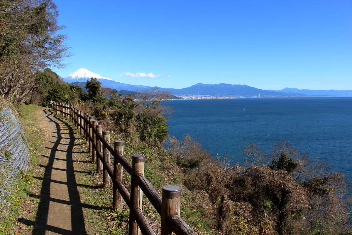 薩埵峠展望台までの遊歩道