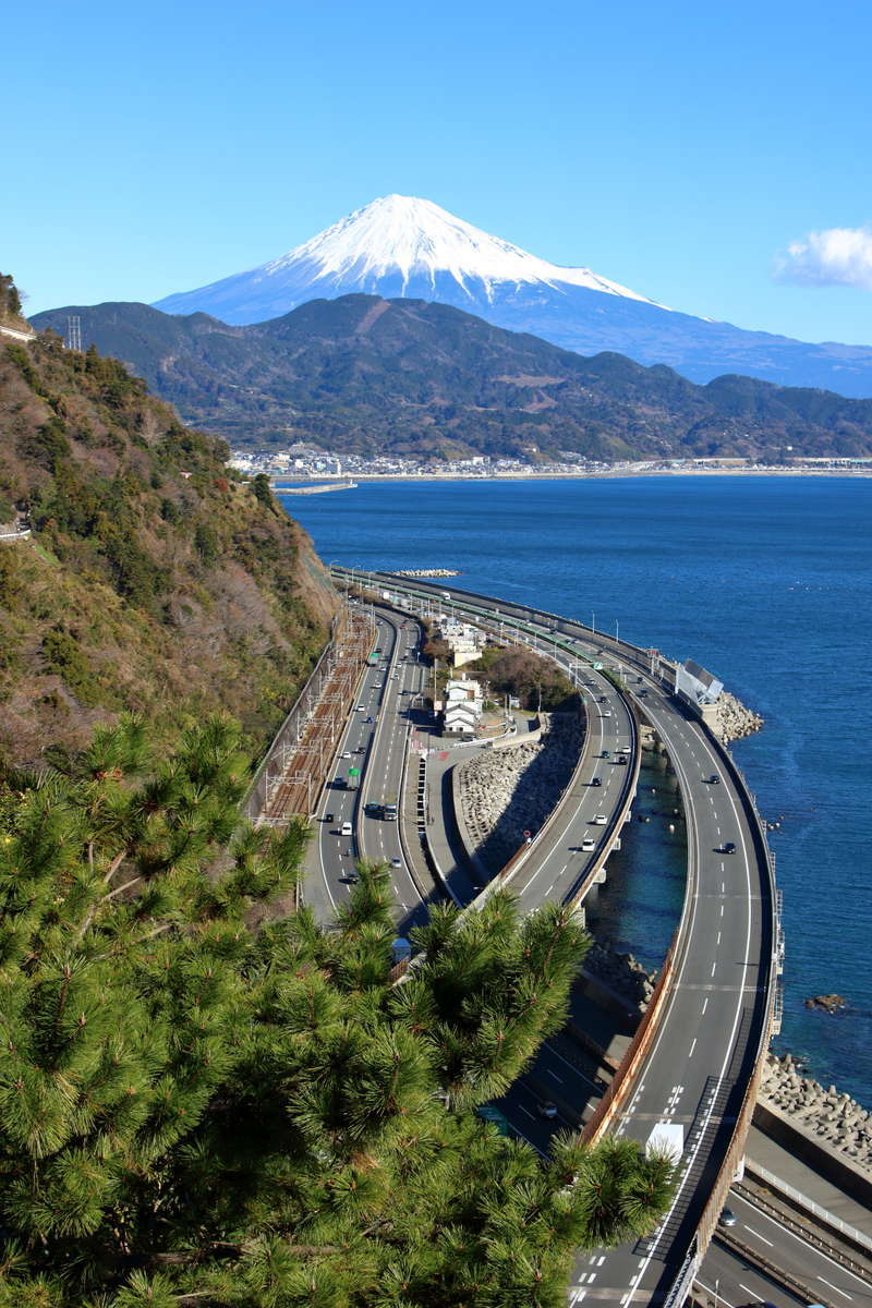 薩埵峠展望台からの絶景！