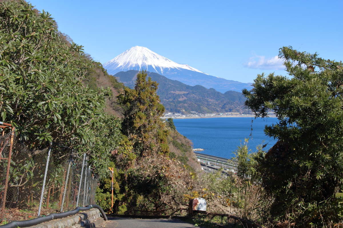 狭い車道を下っていきます