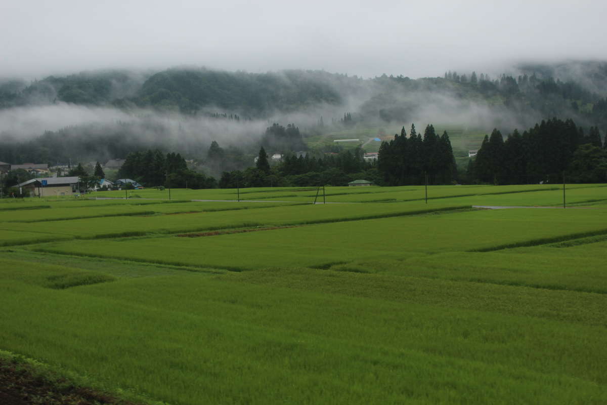 朝霧に煙る里山の風景