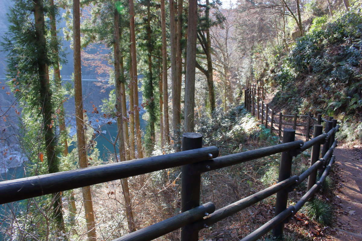 天竜川沿いの遊歩道を歩く