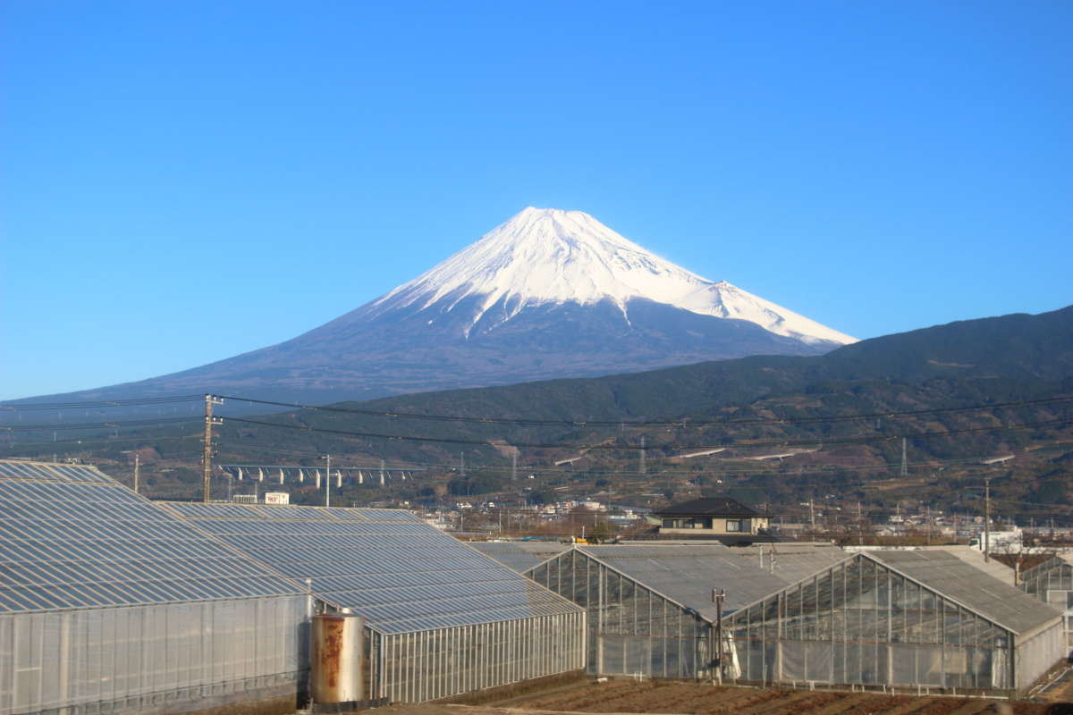 東田子の浦駅近辺の東海道本線の車窓から眺める富士山