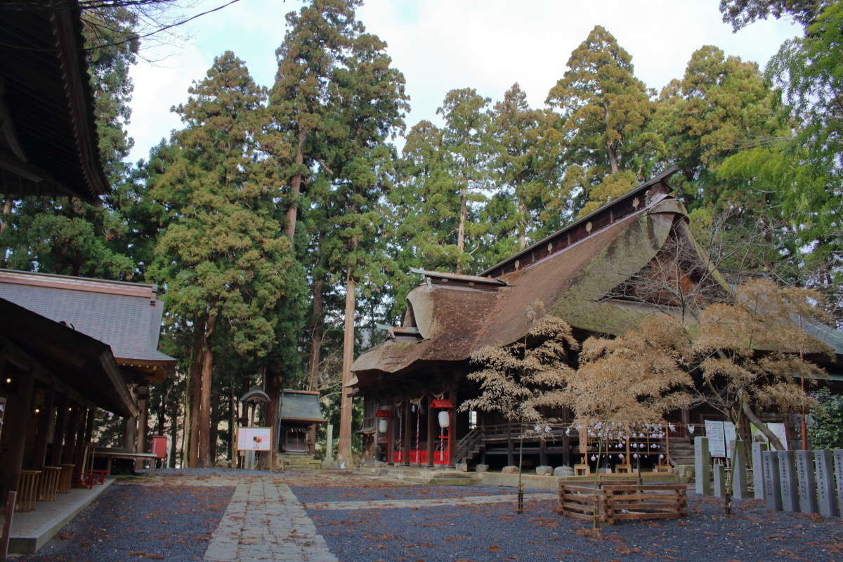 高い杉の木に囲まれている熊野大社の境内