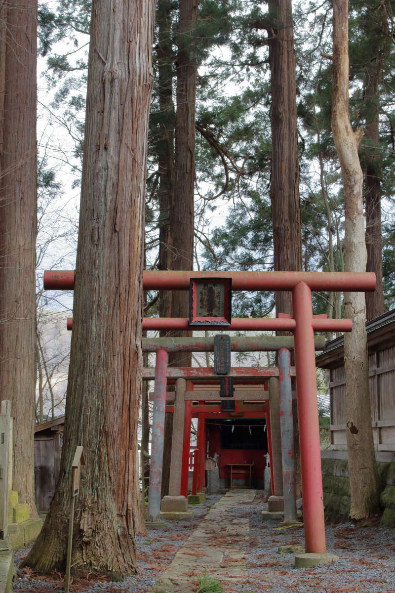 拝殿の裏側にある赤い鳥居が並ぶ稲荷神社