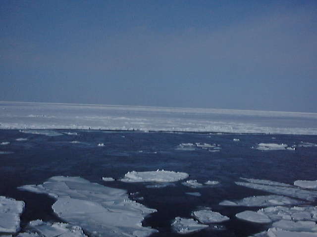 流氷観光砕氷船で流氷のある海域へ