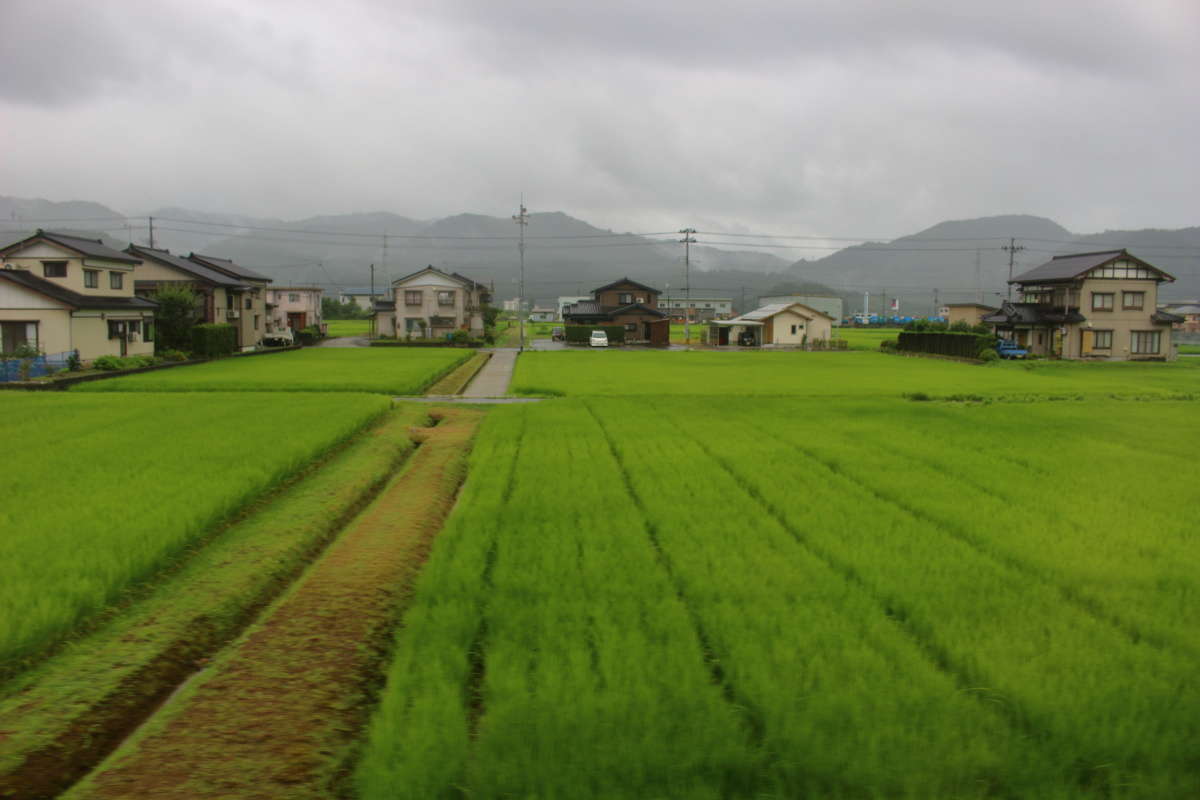 頸城大野から先は住宅地と市街地へ