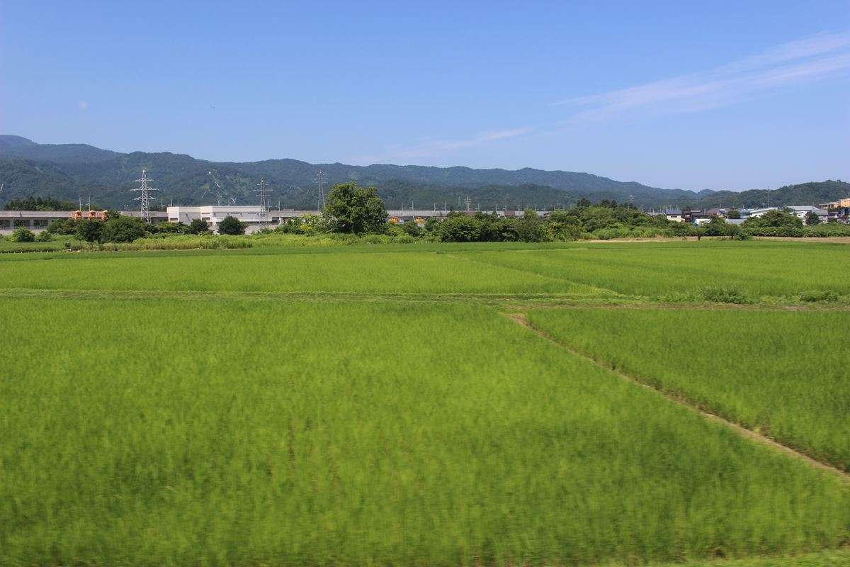 市街地から次第に田園風景へ、新幹線の高架が近づいてくると上越妙高駅