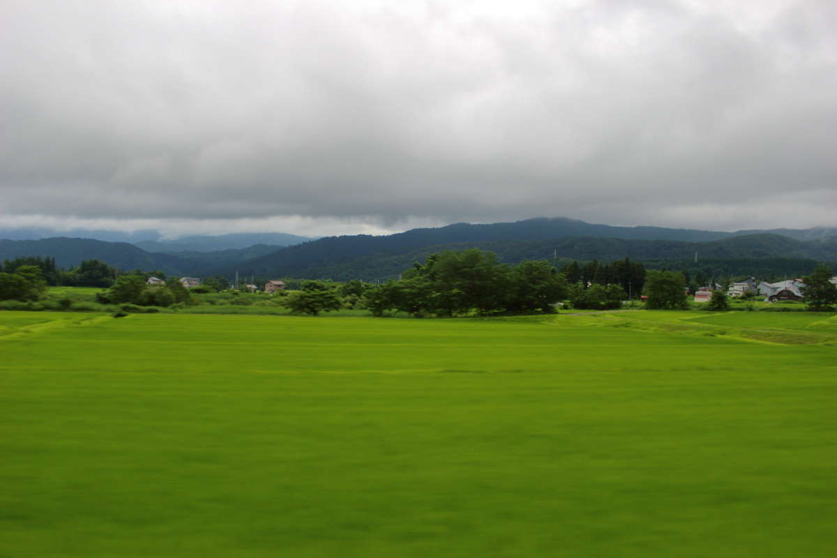 新井駅を出ると山間部へ、最大25‰の勾配を登っていきます