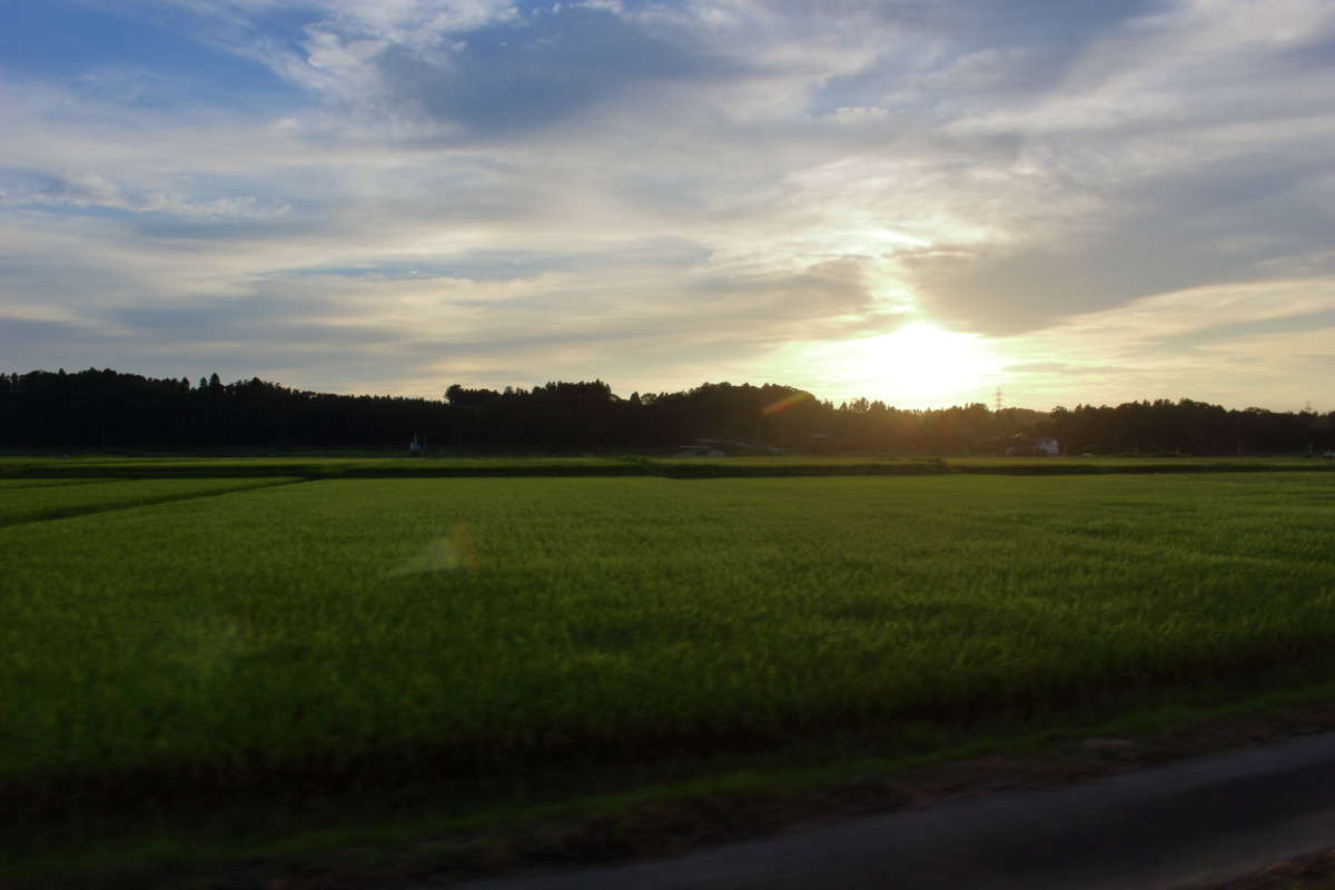 上総牛久駅を出ると夕暮れの田園風景が広がります